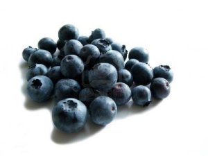352619-fresh-blueberries-on-white-background